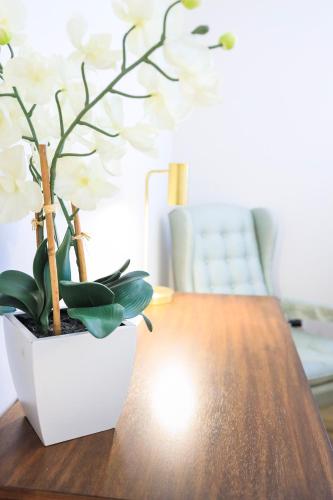 a wooden table with a potted plant on top of it at Sleeps 10! Minutes to Parris Island & Downtown in Beaufort
