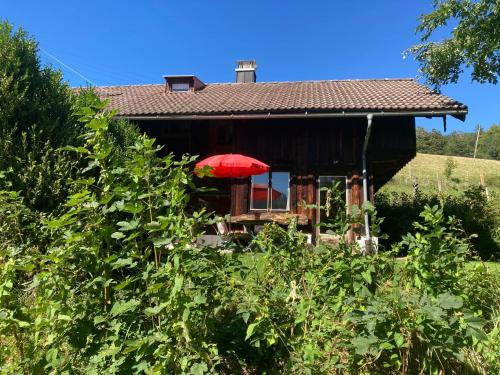 Κήπος έξω από το Berghütterl - Ferienhaus Ingerlhof