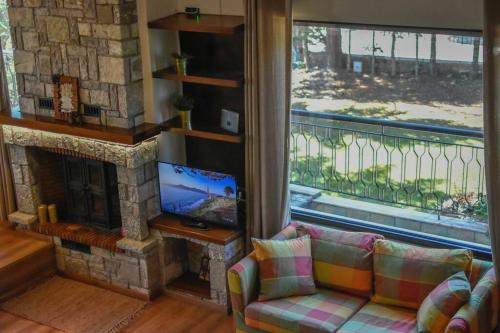 a living room with a couch and a fireplace at Lake Plastira Lodge in Kalyvia