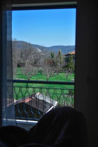 a window with a view of a field and trees at Lake Plastira Lodge in Kalyvia