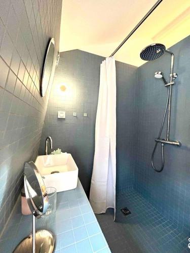 une salle de bain avec un lavabo et une douche dans l'établissement Magnifique maison de courée renovée - Lille centre, à Lille