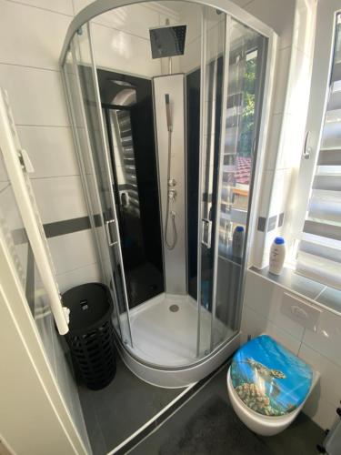 a shower with a glass door in a bathroom at Ferienwohnung Pension Sofia 2 in Meißen
