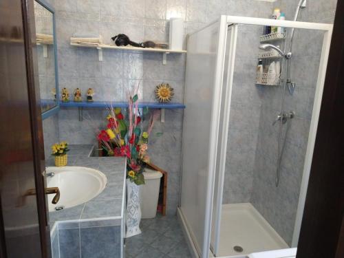 a bathroom with a shower and a sink and a toilet at Nonna Lella House in Castel di Sangro
