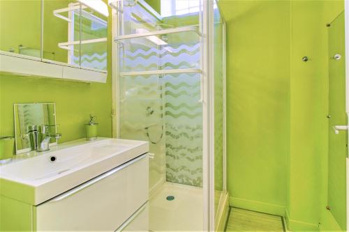 a green bathroom with a sink and a shower at Tarbes Immeuble résidentiel labelisé et classé Proche des Halles Marcadieu et Brauhauban et du Parc des expositions - Appartements Appaloosa T2 Rdc et Pyrénéa T2 au 1er étage avec terrasse couverte -Parking gratuit- in Tarbes