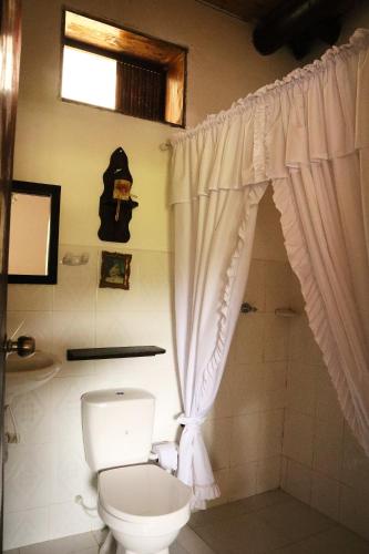 a bathroom with a white toilet and a window at Posada el portal de la Loma in Pesca