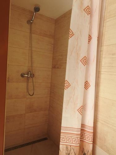 a shower with a shower curtain in a bathroom at Ubytovanie u Krokodíla in Banská Belá