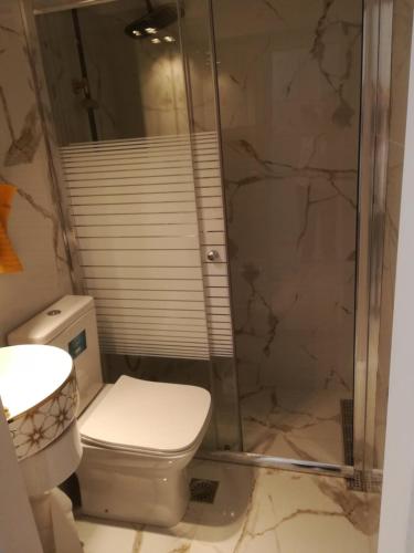 a bathroom with a toilet and a shower at Modern Studio by the sea in Loutra Edipsou