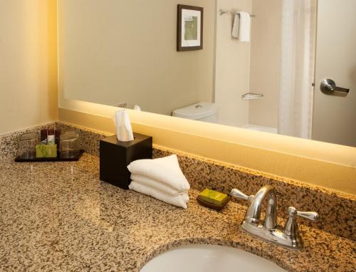 a bathroom with a sink and a mirror at Embassy Suites by Hilton Nashville Airport in Nashville