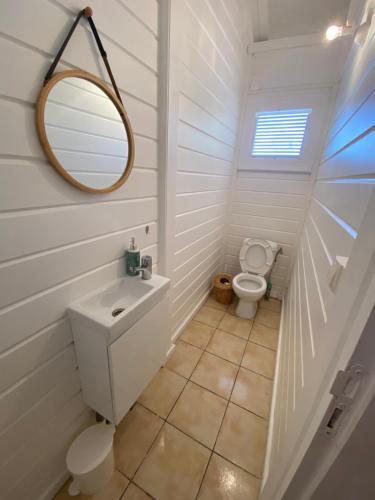 ein Badezimmer mit Toilette, Waschbecken und Spiegel in der Unterkunft Kaz’Ary in Sainte-Anne