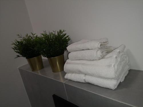 un tas de serviettes sur un comptoir avec deux plantes en pot dans l'établissement Apartament przy Uniwersytecie Kopcińskiego 15, à Łódź