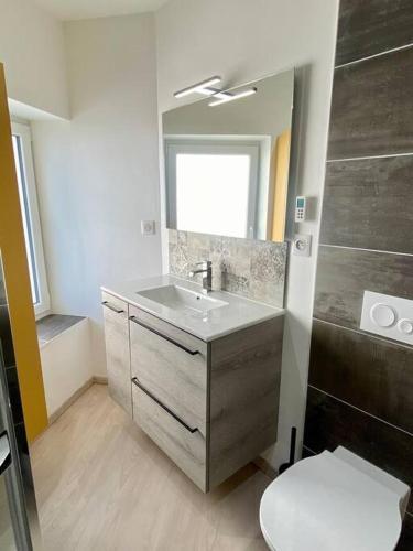 une salle de bain avec un lavabo et des toilettes dans l'établissement Studio climatisé proche gare, à Bourg-en-Bresse