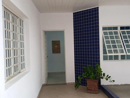 a hallway with blue tile on the wall and a plant at HOSTEL CAMINHO DA FE in Aparecida
