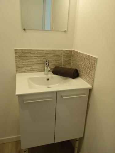 une salle de bain avec un lavabo blanc et un miroir dans l'établissement Nuit étoilée - Dormir Comme A La Maison, à Saint-Julien-de-Vouvantes