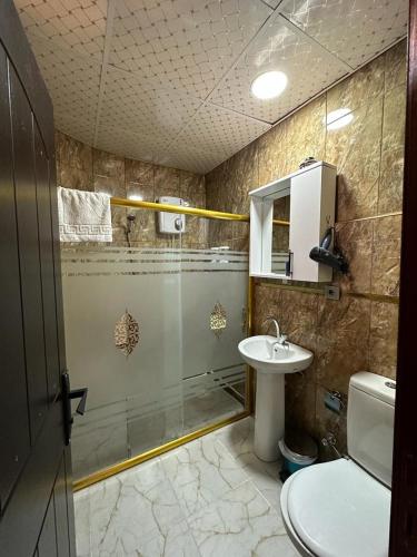 een badkamer met een douche, een wastafel en een toilet bij Hayadlı Konak Butik Otel in Gaziantep