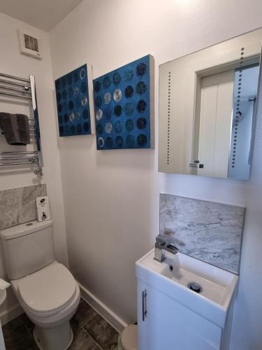 a bathroom with a toilet and a sink and a mirror at Tiffy's Place in Blackpool