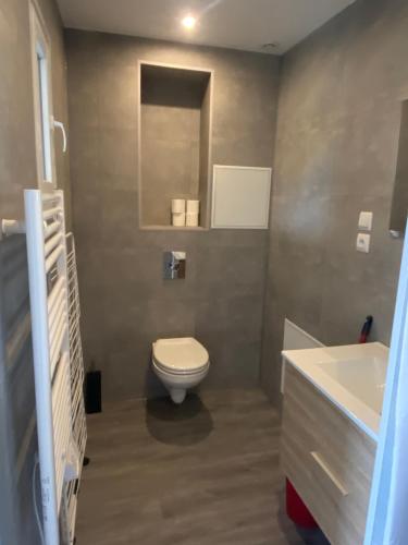 uma casa de banho com um WC branco e um lavatório. em Appartement 22 em La Roche-Posay