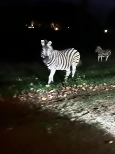 Photo de la galerie de l'établissement iDube Lodge Walkersons, à Dullstroom