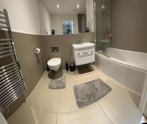 a bathroom with a toilet and a sink and a shower at Modern 2 Bedroom Flat TH132 in Basildon