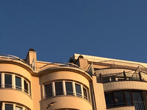  El Mirador Quality Stay - Apartments -  Room  picture :   Tea/Coffee maker    Shower    TV                           