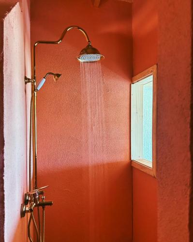 a shower with a shower head in a bathroom at Loft Country Kaş in Kaş