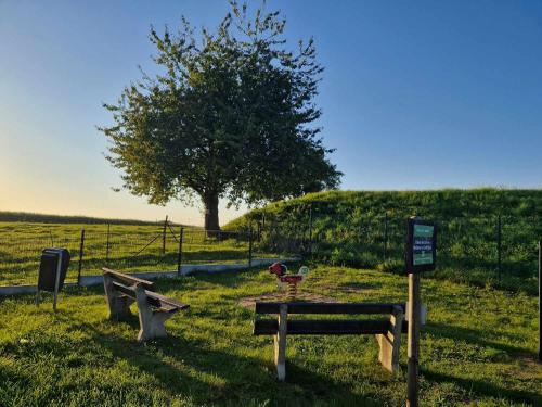 a park with a tree and a sign in the grass at Bulle ivoire in Hastière-par-delà