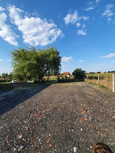 a gravel road with a tree in the distance at Bungalov Lenka in Temerin