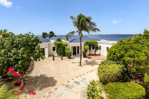 a white house with a palm tree and the ocean at Oceanfront - Villa Port of Call - in Kralendijk