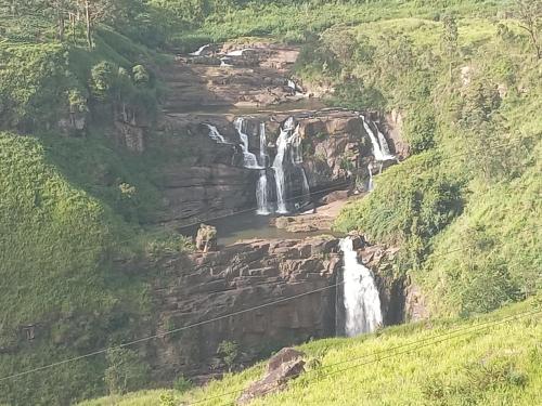a couple of waterfalls on a hillside with a dog in front of it at Trinish homestay in Hatton