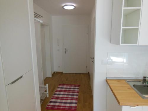 una piccola cucina con lavandino e tappeto sul pavimento di Apartement Laura by Schladmingurlaub a Schladming