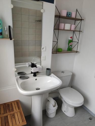 une salle de bain avec un lavabo blanc et des toilettes dans l'établissement VITTEL LOC'S - Le 6, calme avec terrasse privative, à Vittel