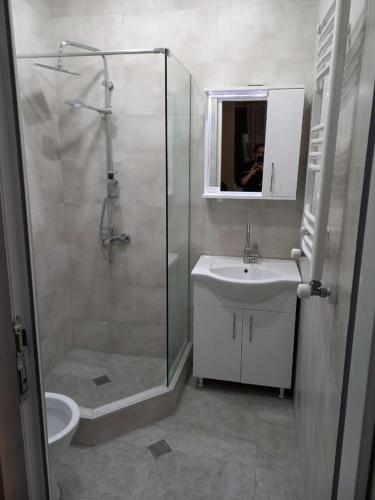 a bathroom with a shower and a sink and a toilet at Mados Apartment in Tbilisi City