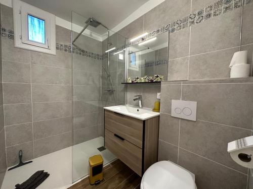 une salle de bain avec un lavabo, des toilettes et un miroir dans l'établissement Bas de villa Climatisé et wifi 2 chambre pour 4 personnes et petite vue mer, à Pietrosella