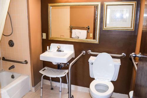 La salle de bains est pourvue de toilettes, d'un lavabo et d'un miroir. dans l'établissement Richburg Inn, à Richburg