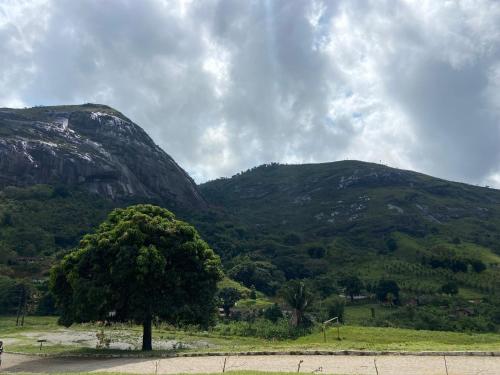 a tree in a field with mountains in the background at Lar do sertão- flat dentro do Hotel Fazenda Pedra do Rodeadouro in Bonito