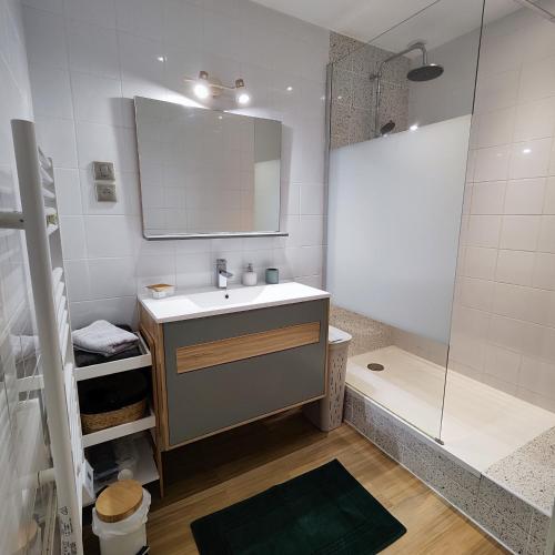 une salle de bain avec un lavabo et une douche dans l'établissement Le Notre-Dame - Centre-ville, à Montauban