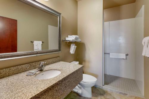 uma casa de banho com um lavatório, um WC e um espelho. em Best Western Golden Prairie Inn and Suites em Sidney
