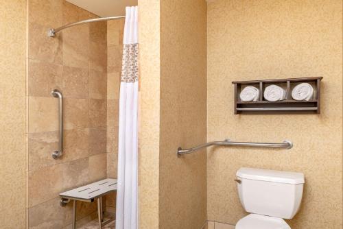 ein Bad mit einem WC und einer Dusche in der Unterkunft Hampton Inn & Suites San Clemente in San Clemente