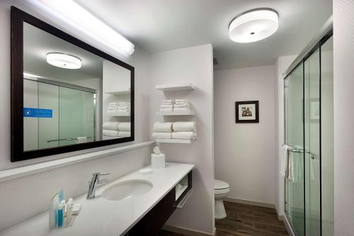 a bathroom with a sink and a mirror and a toilet at Hampton Inn and Suites Fort Mill, SC in Fort Mill