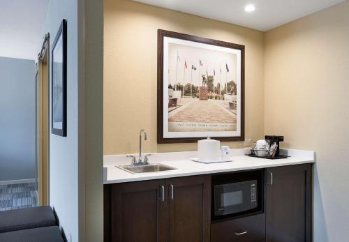 baño con lavabo y una foto en la pared en Hampton Inn and Suites Fort Mill, SC, en Fort Mill