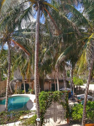 a house with palm trees and a swimming pool at Hotel Boutique Can Cocal El Cuyo in El Cuyo