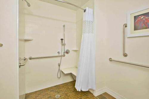 a shower with a shower curtain in a bathroom at Hampton Inn Southfield/West Bloomfield in Farmington Hills