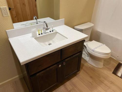 a bathroom with a sink and a toilet at Cedar Mountain Suite D in Grants Pass