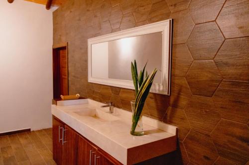 ein Badezimmer mit einem Waschbecken, einem Spiegel und einer Pflanze in der Unterkunft Gran Altata All Inclusive in Altata