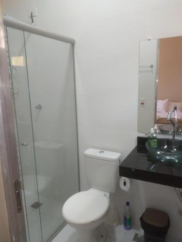 La salle de bains est pourvue de toilettes et d'une douche en verre. dans l'établissement Sítio Rupestre - Peruaçu, à Januária