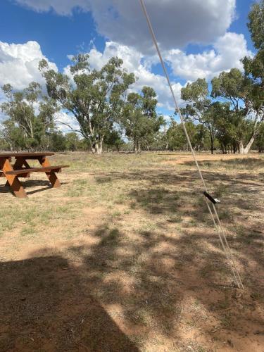a picnic table in a field next to a park at Box Flat Belle Off Grid Glamping in Lightning Ridge