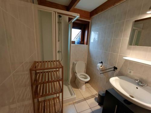 a bathroom with a toilet and a sink at Holiday home De Haan in De Haan