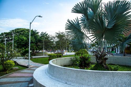 uma palmeira num parque com uma luz de rua em Apartaestudio en Tumaco em Burrero