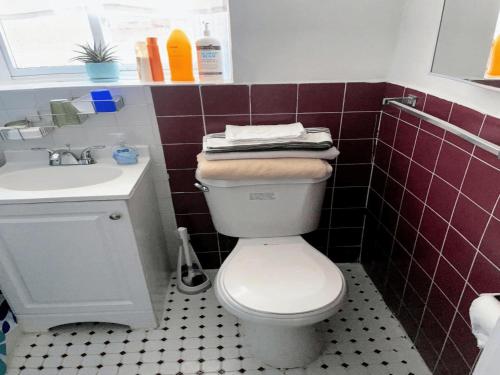 een badkamer met een wit toilet en een wastafel bij Cozy Basement Apartment, 40-Min Drive to NY City in Irvington