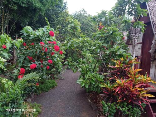 a garden path with red flowers and plants at Tribal Village Homestay & Trekking in Banlung