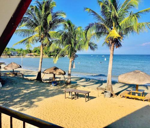 a beach with chairs and palm trees and the ocean at Bolo Hills Beach Club And Residence in Alaminos
